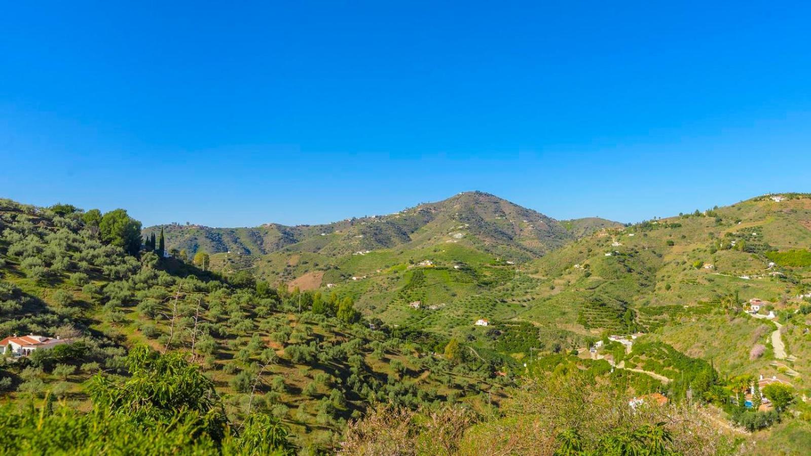 Palmeras De By Ruralidays Holiday home Torrox